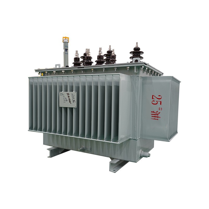 Oil Immersed Hermetically Sealed Type Transformer